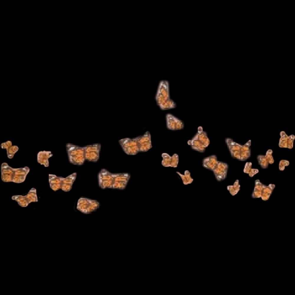 Meet your Posher, Keeley